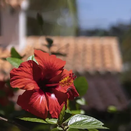 Zephyra Balcon del Mar